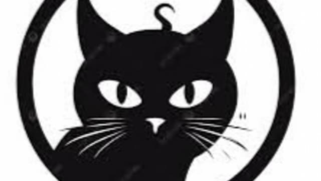 Pati Cat Messenger uygulaması Giriş sayfası